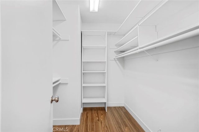 walk in closet featuring hardwood / wood-style floors