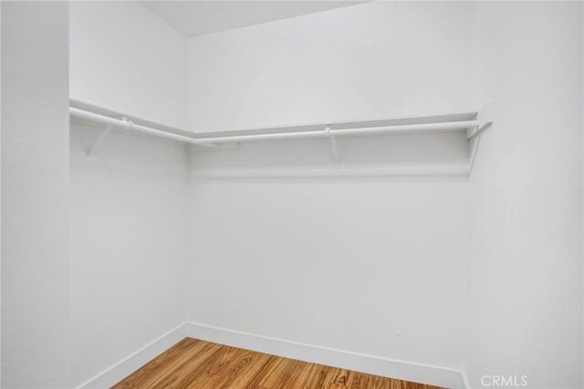 walk in closet with hardwood / wood-style flooring