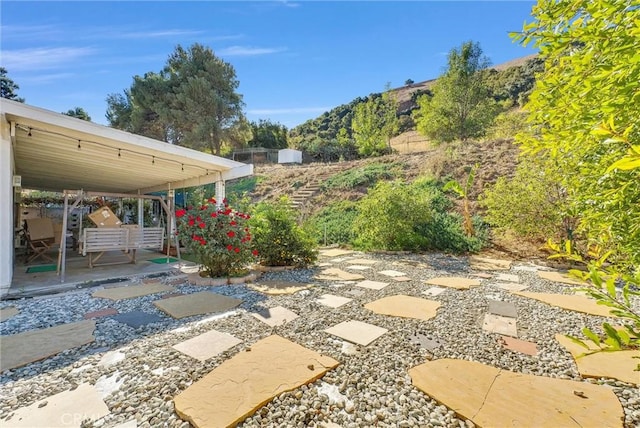 view of yard featuring a patio area