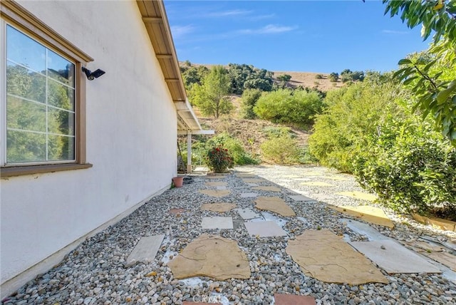 view of yard featuring a patio