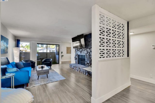 living room with a stone fireplace and wood-type flooring