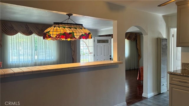 kitchen featuring a wealth of natural light, dark hardwood / wood-style flooring, and tile counters