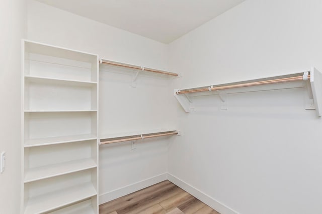 spacious closet with light wood-type flooring