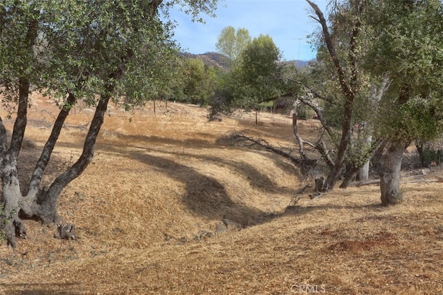 view of local wilderness featuring a rural view