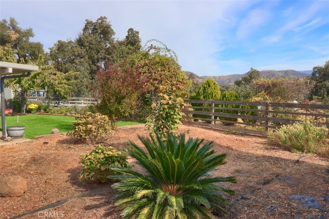 view of yard featuring a mountain view