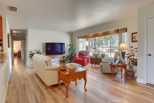 living room featuring a textured ceiling and light hardwood / wood-style flooring