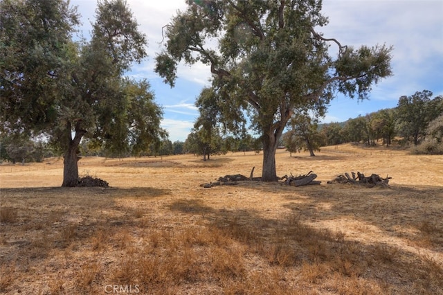 view of landscape with a rural view