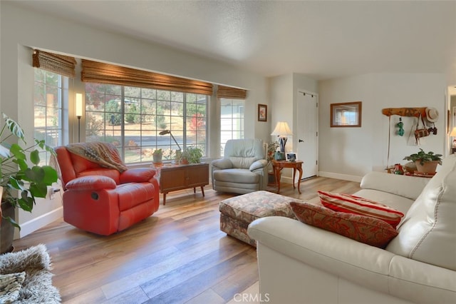 living room featuring light hardwood / wood-style flooring