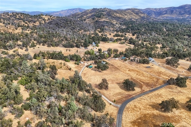 birds eye view of property with a mountain view