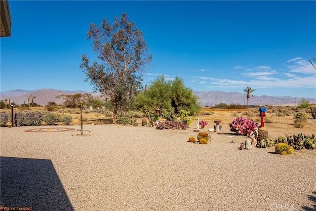 view of yard with a rural view and a mountain view