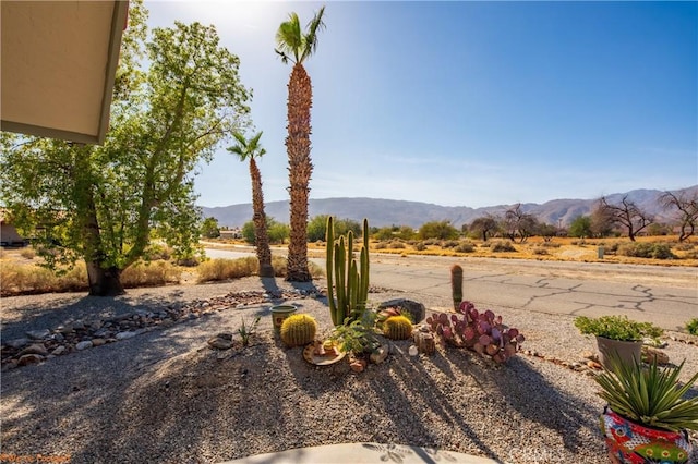 view of yard with a mountain view