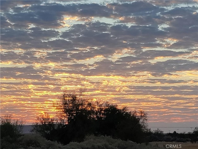 view of nature at dusk