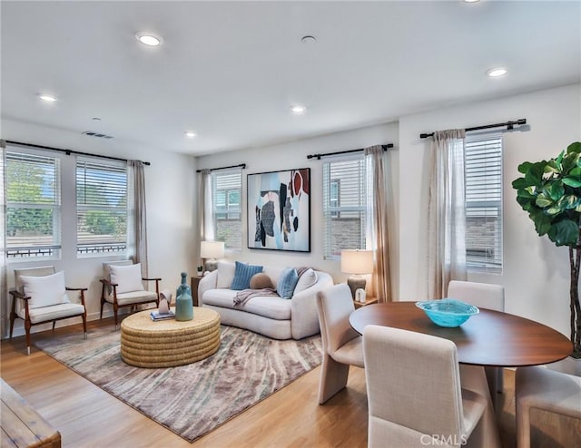 living room with a healthy amount of sunlight and light wood-type flooring