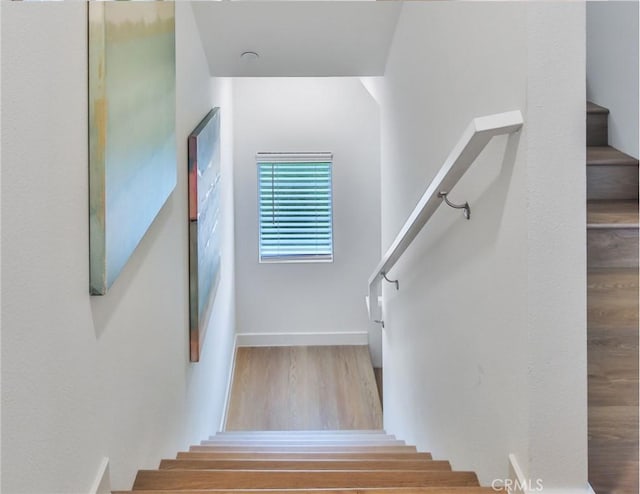 stairway featuring hardwood / wood-style floors