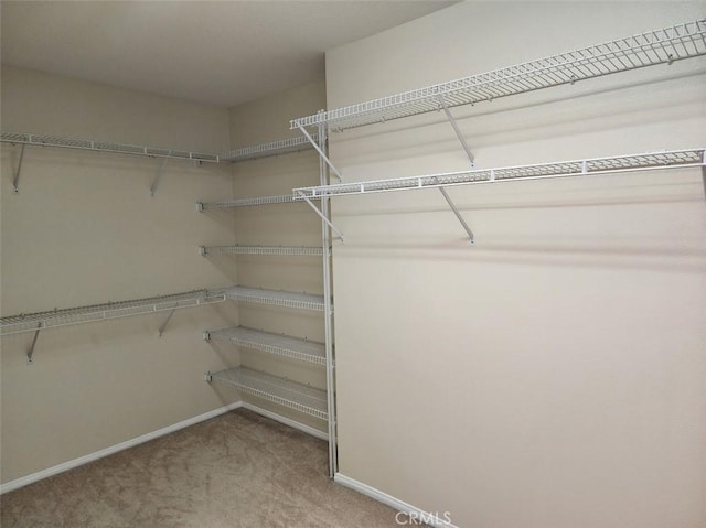 spacious closet with carpet flooring