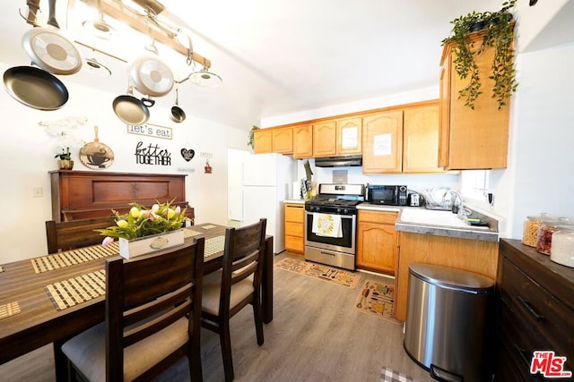 kitchen with white fridge, wood-type flooring, sink, and stainless steel stove