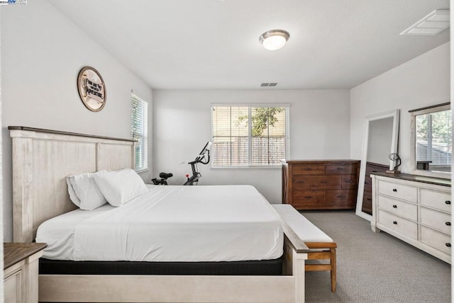 bedroom with carpet floors