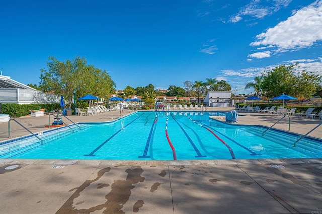 view of pool with a patio