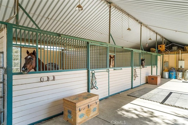 view of horse barn