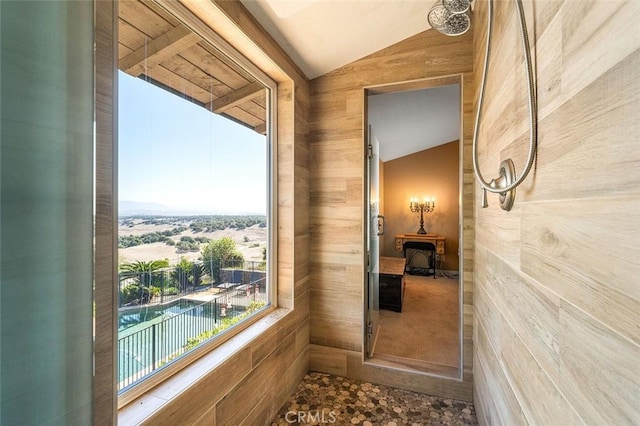 interior space featuring lofted ceiling and wood walls