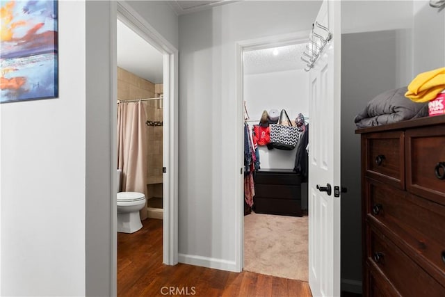 hall featuring dark hardwood / wood-style floors