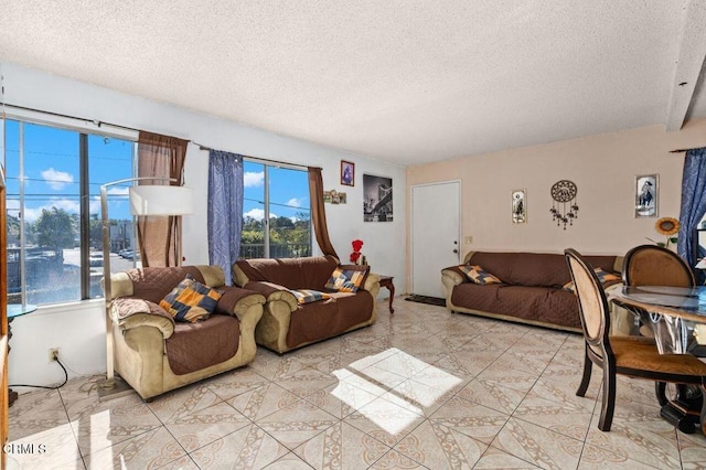 living room with a textured ceiling