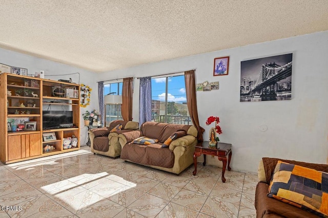 1431 Casa San Carlos Ln Unit A, Oxnard, CA 93033 - living area with a textured ceiling