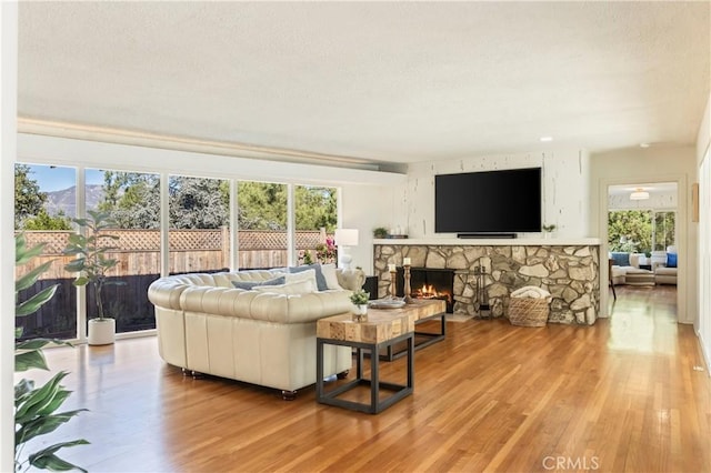 living room with a stone fireplace and light hardwood / wood-style flooring