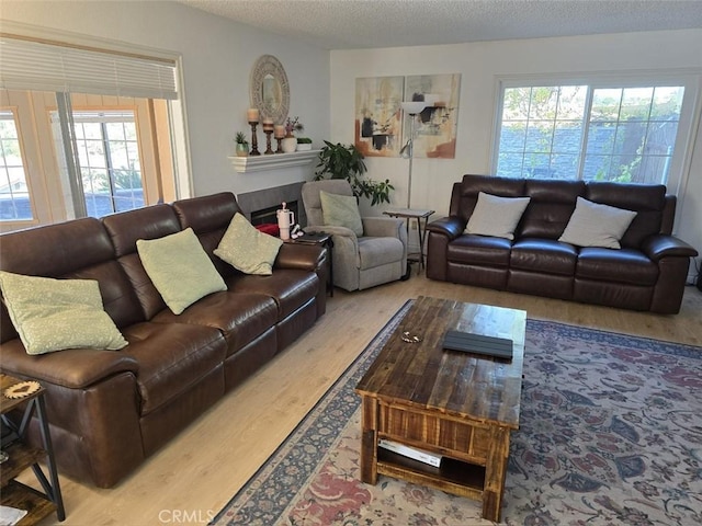 living room featuring hardwood / wood-style floors, a healthy amount of sunlight, and a textured ceiling