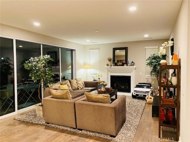 living room featuring light hardwood / wood-style flooring