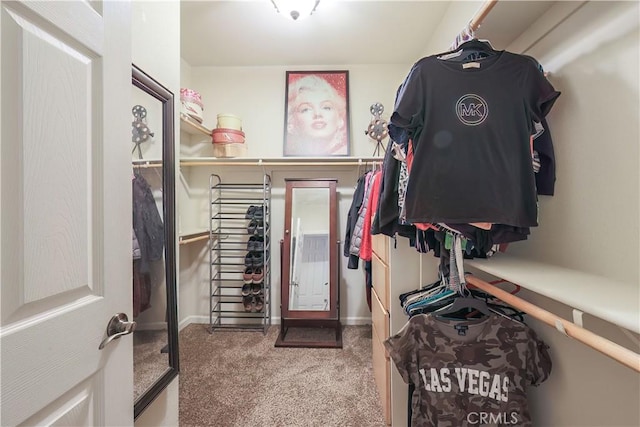 walk in closet with carpet floors