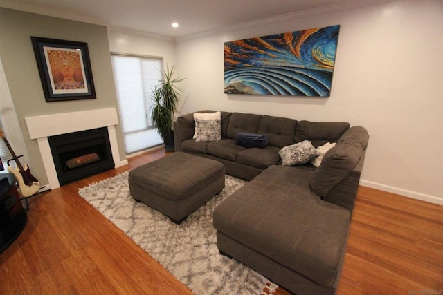 living room featuring hardwood / wood-style flooring and ornamental molding