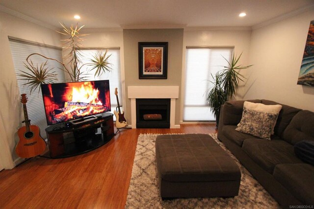 living room with hardwood / wood-style flooring and ornamental molding