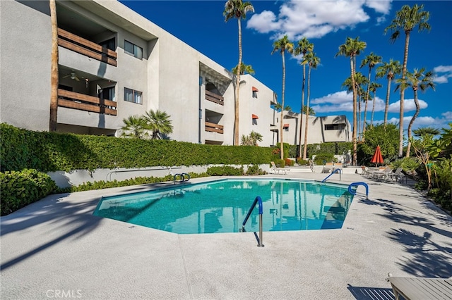 view of pool featuring a patio