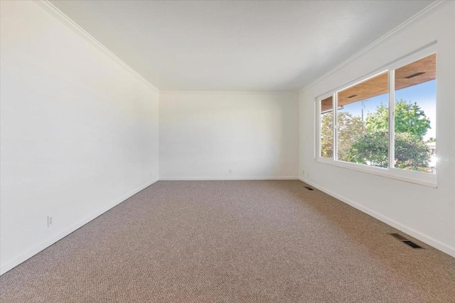 carpeted spare room featuring crown molding