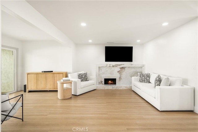 living room featuring a premium fireplace and light wood-type flooring