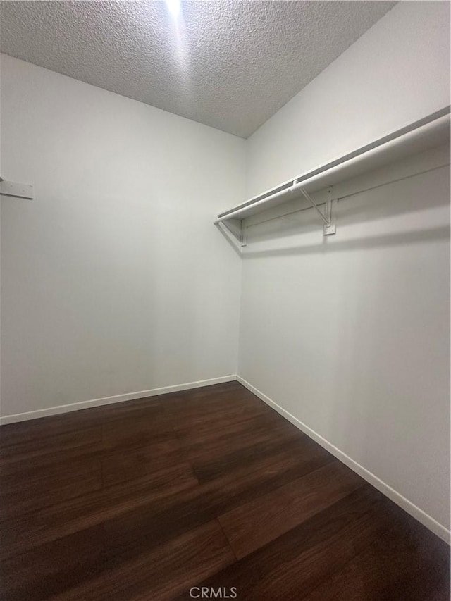 spacious closet featuring dark hardwood / wood-style flooring