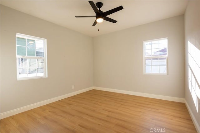 empty room featuring ceiling fan and light hardwood / wood-style flooring