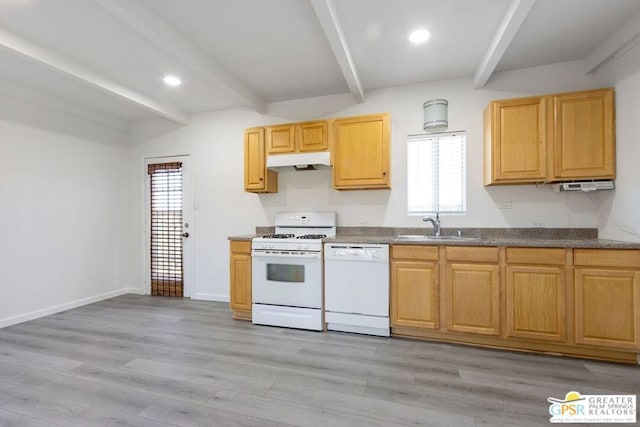 kitchen with light wood-type flooring, sink, plenty of natural light, and white appliances