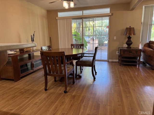 dining area with ceiling fan and hardwood / wood-style floors