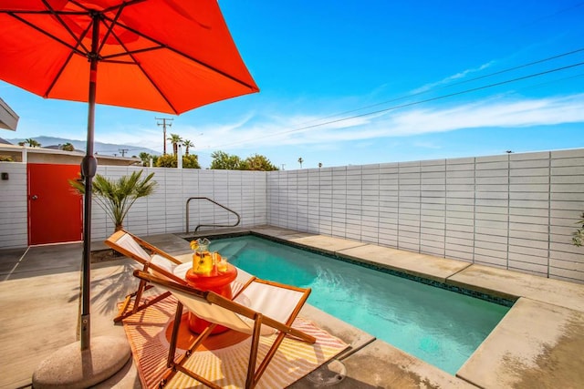 view of swimming pool with a patio area and a shed