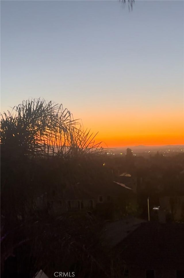 view of nature at dusk