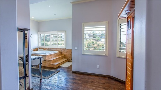 bathroom with hardwood / wood-style flooring, a healthy amount of sunlight, and ornamental molding