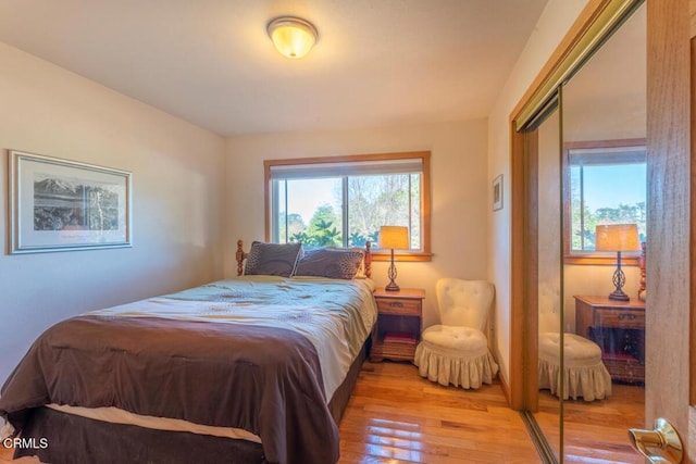 bedroom featuring a closet and light hardwood / wood-style flooring