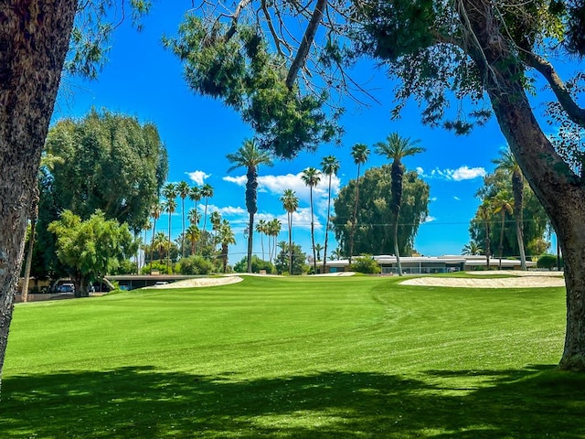 view of property's community with a yard