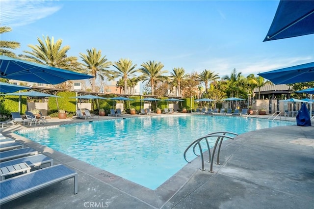 view of pool featuring a patio