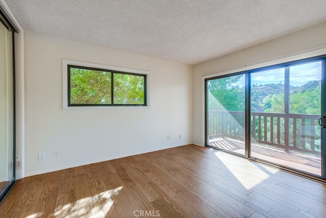 unfurnished room featuring a healthy amount of sunlight, a textured ceiling, and light wood-type flooring