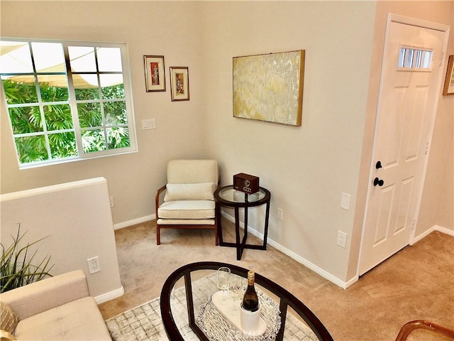 living area with carpet floors and baseboards