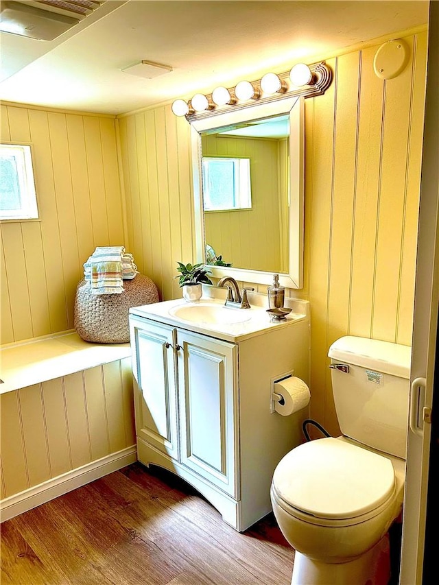 bathroom with vanity, toilet, and wood finished floors