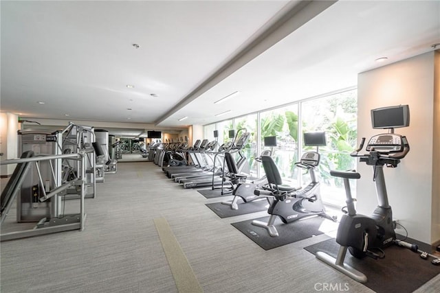 workout area with light colored carpet